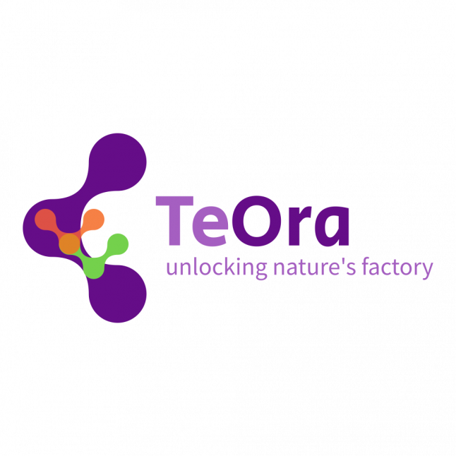 TeOra Pte Ltd.