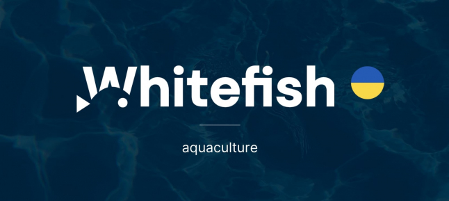 Whitefish UA